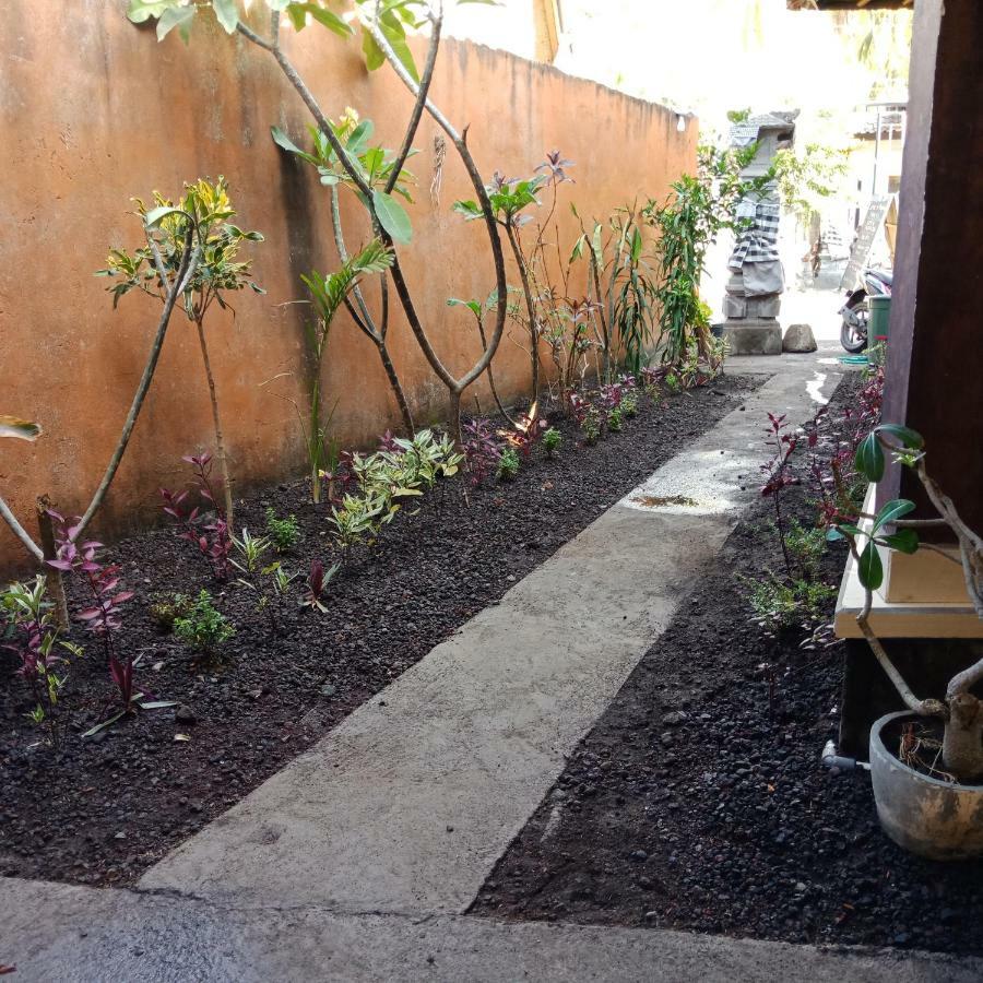 Backpackers Home Amed Extérieur photo